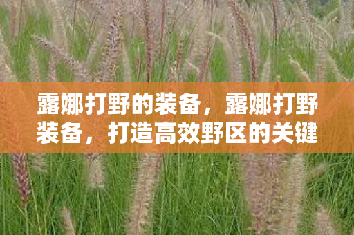露娜打野的装备，露娜打野装备，打造高效野区的关键
