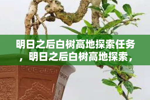 明日之后白树高地探索任务，明日之后白树高地探索，揭秘未知世界的奥秘