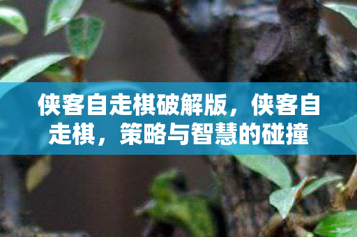 侠客自走棋破解版，侠客自走棋，策略与智慧的碰撞