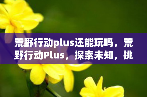 荒野行动plus还能玩吗，荒野行动Plus，探索未知，挑战极限的次世代生存游戏