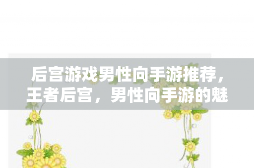 后宫游戏男性向手游推荐，王者后宫，男性向手游的魅力与探索