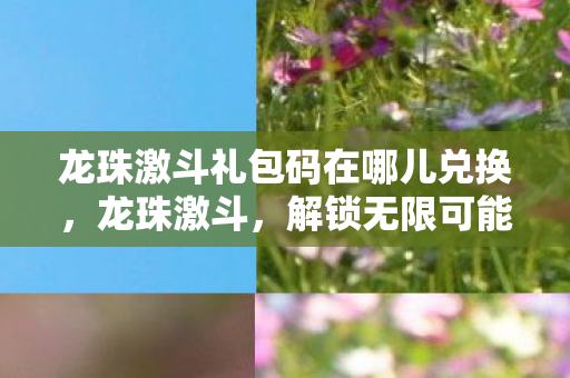 龙珠激斗礼包码在哪儿兑换，龙珠激斗，解锁无限可能的神秘礼包