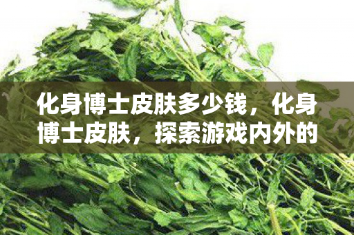 化身博士皮肤多少钱，化身博士皮肤，探索游戏内外的双重世界