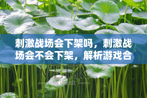刺激战场会下架吗，刺激战场会不会下架，解析游戏合规与未来走向
