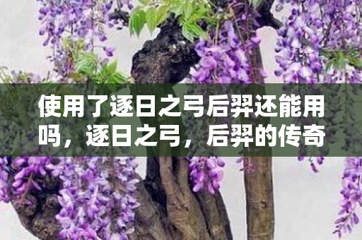 使用了逐日之弓后羿还能用吗，逐日之弓，后羿的传奇重生