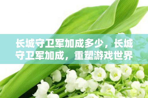 长城守卫军加成多少，长城守卫军加成，重塑游戏世界的力量