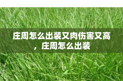 庄周怎么出装又肉伤害又高，庄周怎么出装