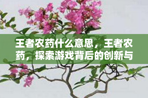 王者农药什么意思，王者农药，探索游戏背后的创新与挑战