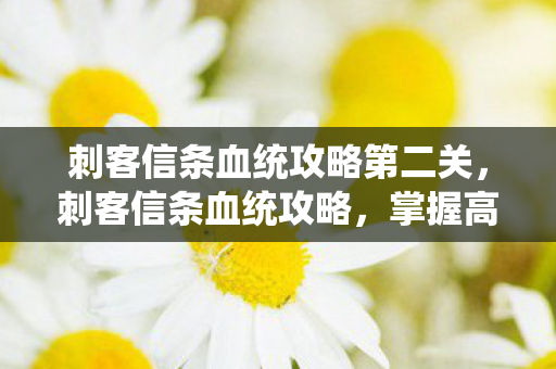 刺客信条血统攻略第二关，刺客信条血统攻略，掌握高效战斗与角色发展的秘密