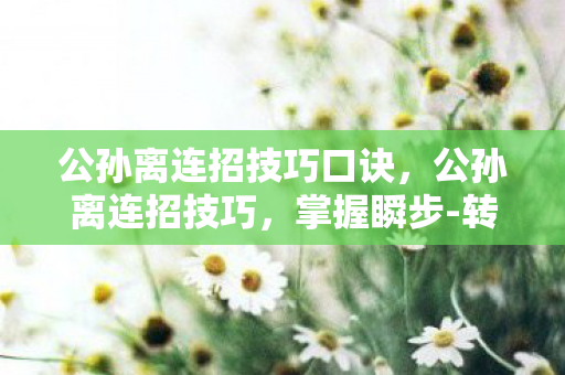 公孙离连招技巧口诀，公孙离连招技巧，掌握瞬步-转身-飞燕