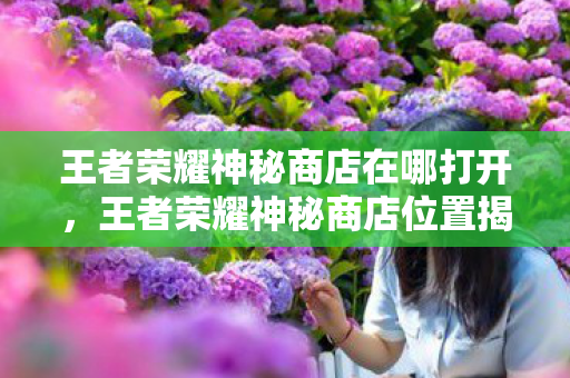 王者荣耀神秘商店在哪打开，王者荣耀神秘商店位置揭秘