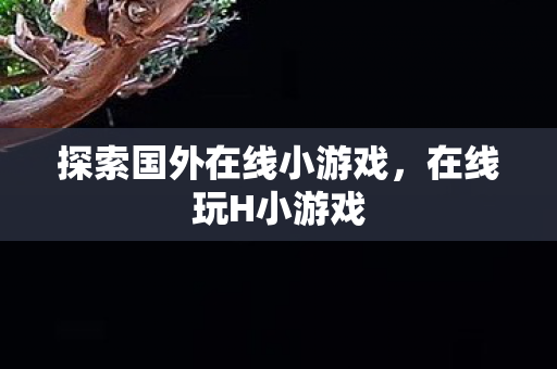 探索国外在线小游戏，在线玩H小游戏