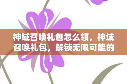 神域召唤礼包怎么领，神域召唤礼包，解锁无限可能的神秘钥匙