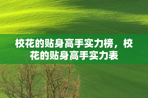 校花的贴身高手实力榜，校花的贴身高手实力表