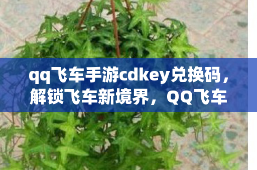 qq飞车手游cdkey兑换码，解锁飞车新境界，QQ飞车手游CDK的神秘力量