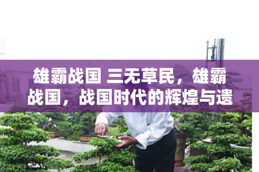 雄霸战国 三无草民，雄霸战国，战国时代的辉煌与遗产