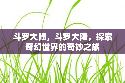 斗罗大陆，斗罗大陆，探索奇幻世界的奇妙之旅