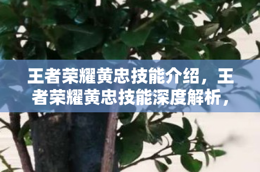 王者荣耀黄忠技能介绍，王者荣耀黄忠技能深度解析，炮轰天下，一箭双穿