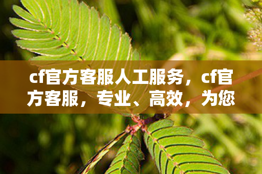 cf官方客服人工服务，cf官方客服，专业、高效，为您保驾护航