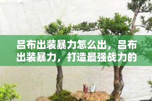 吕布出装暴力怎么出，吕布出装暴力，打造最强战力的关键装备选择