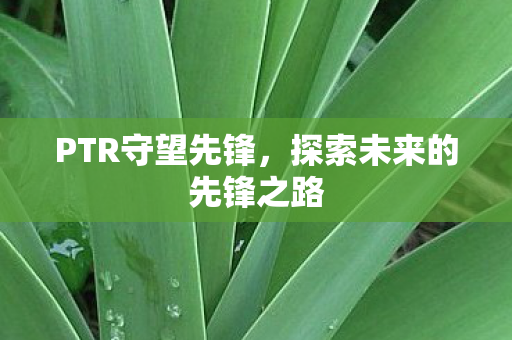 PTR守望先锋，探索未来的先锋之路