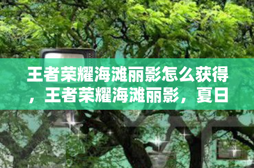 王者荣耀海滩丽影怎么获得，王者荣耀海滩丽影，夏日海滩的浪漫邂逅