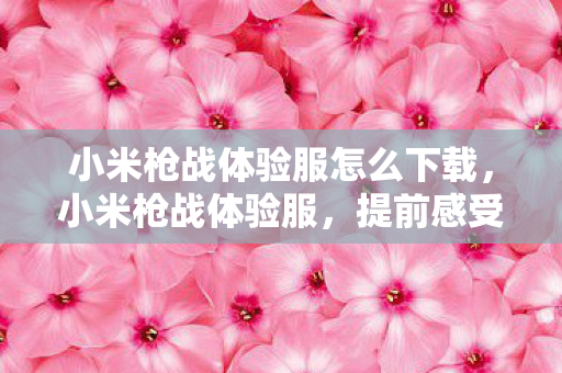小米枪战体验服怎么下载，小米枪战体验服，提前感受未来战场的刺激