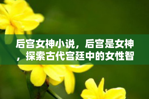 后宫女神小说，后宫是女神，探索古代宫廷中的女性智慧与魅力