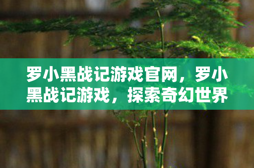罗小黑战记游戏官网，罗小黑战记游戏，探索奇幻世界的奇妙之旅