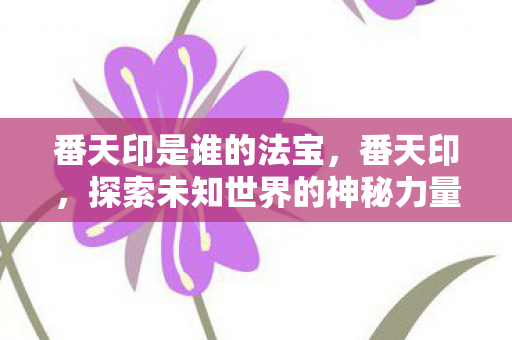 番天印是谁的法宝，番天印，探索未知世界的神秘力量