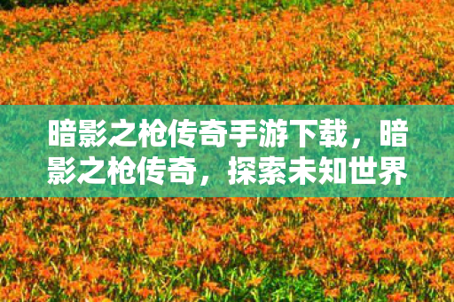 暗影之枪传奇手游下载，暗影之枪传奇，探索未知世界的神秘之旅