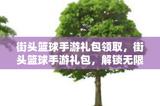 街头篮球手游礼包领取，街头篮球手游礼包，解锁无限可能的运动激情
