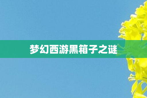 梦幻西游黑箱子之谜