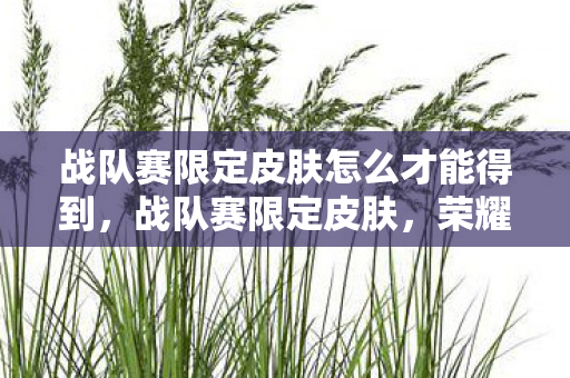 战队赛限定皮肤怎么才能得到，战队赛限定皮肤，荣耀与梦想的象征