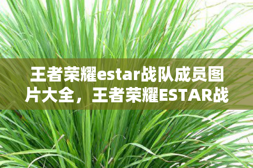 王者荣耀estar战队成员图片大全，王者荣耀ESTAR战队，荣耀背后的力量