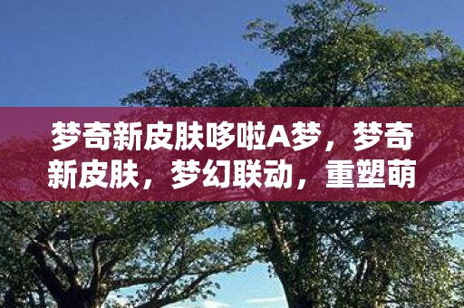 梦奇新皮肤哆啦A梦，梦奇新皮肤，梦幻联动，重塑萌宠新形象
