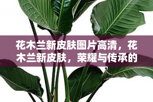 花木兰新皮肤图片高清，花木兰新皮肤，荣耀与传承的完美结合