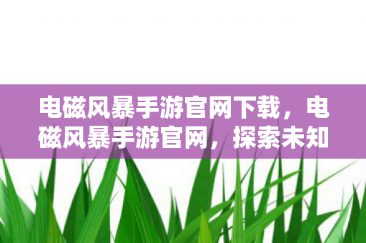 电磁风暴手游官网下载，电磁风暴手游官网，探索未知星域，开启星际战争新篇章