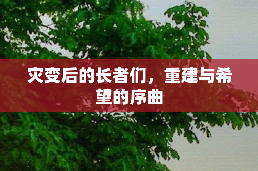 灾变后的长者们，重建与希望的序曲
