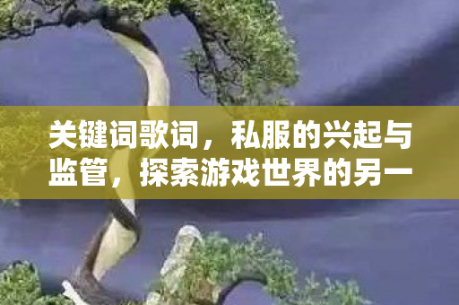 关键词歌词，私服的兴起与监管，探索游戏世界的另一面