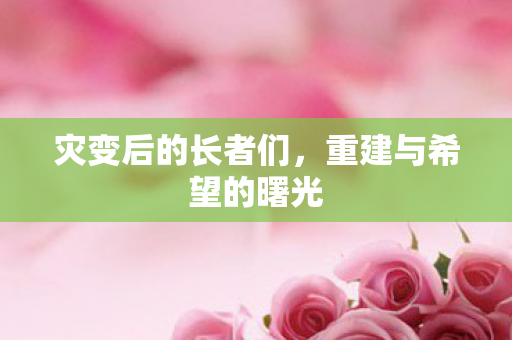 灾变后的长者们，重建与希望的曙光