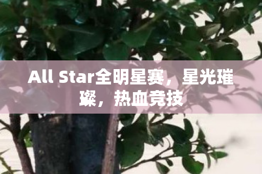 All Star全明星赛,星光璀璨,热血竞技 All Star全明星赛,星光璀璨,热血竞技
