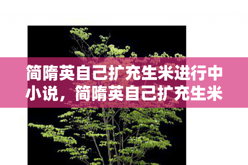 简隋英自己扩充生米进行中小说，简隋英自己扩充生米进行中，探索游戏世界的无限可能