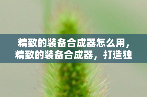 精致的装备合成器怎么用，精致的装备合成器，打造独一无二的游戏神器