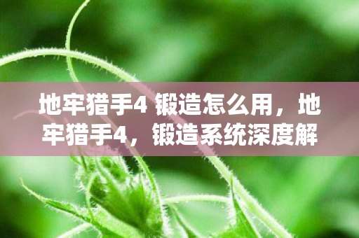 地牢猎手4 锻造怎么用，地牢猎手4，锻造系统深度解析
