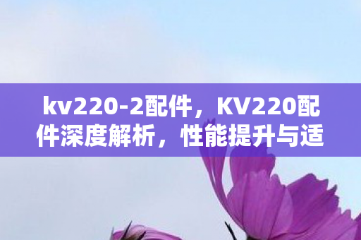 kv220-2配件，KV220配件深度解析，性能提升与适配策略