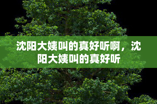 沈阳大姨叫的真好听啊，沈阳大姨叫的真好听