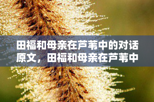 田福和母亲在芦苇中的对话原文，田福和母亲在芦苇中的对话