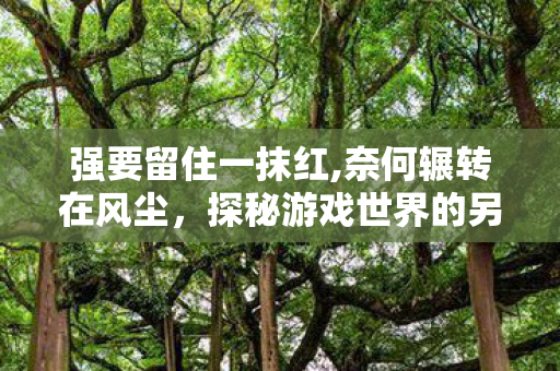 强要留住一抹红,奈何辗转在风尘，探秘游戏世界的另一面，深度解析游戏服务器的运营与管理