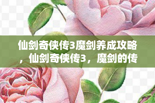 仙剑奇侠传3魔剑养成攻略，仙剑奇侠传3，魔剑的传奇与宿命